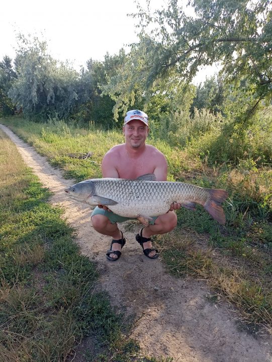 Рыбак из Кривого Рога поймал гигантского белого амура - рис. 1