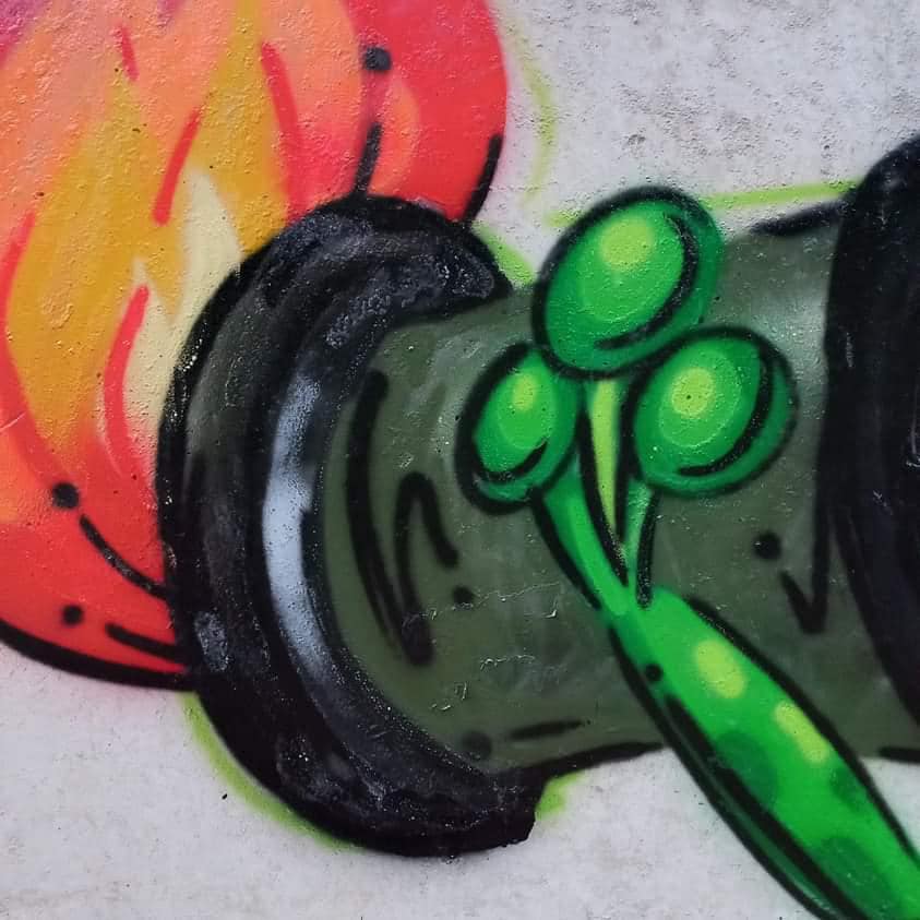 В Днепре девушка рисует влюбленных лягушек на стенах (Фото) - рис. 8