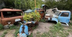 В Днепре местные посадили колоритный огород на обломках советских автомобилей - рис. 1