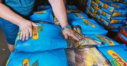 Аграріям Дніпропетровщини передали понад 1,5 тонни насіння озимого ріпаку - рис. 7