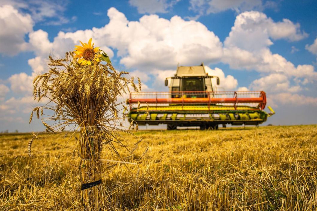 Аграрії Дніпропетровщини завершили збирання ранніх зернових культур (Фото) - рис. 5