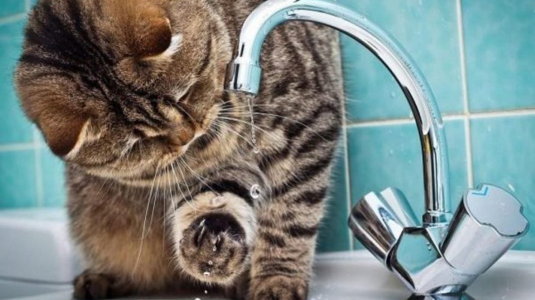 В нескольких районах Днепра произошли аварийные отключения водоснабжения: адреса - рис. 1