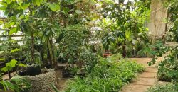 В Днепре открывает двери ботанический сад ДНУ - рис. 3