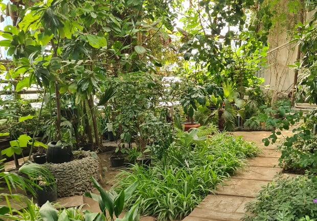В Днепре открывает двери ботанический сад ДНУ - рис. 1