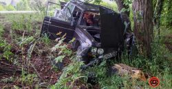 В Днепре пьяный водитель ВАЗ врезался в дерево: его госпитализировали в больницу - рис. 3