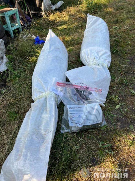 В Днепровском районе полиция изъяла 500 кустов конопли (Фото) - рис. 3