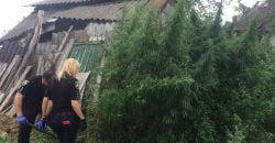 В Днепровском районе полиция обнаружила пенсионера – “наркоплантатора” (Видео) - рис. 2