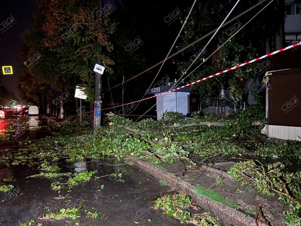 Последствия непогоды в Кривом Роге: затопленные улицы, разбитые авто и поваленные деревья (Фото) - рис. 3
