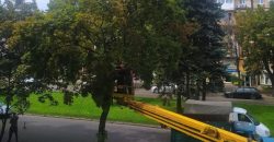 У Дніпрі на проспекті Гагаріна спилили дерева: виявилося на законній підставі - рис. 8