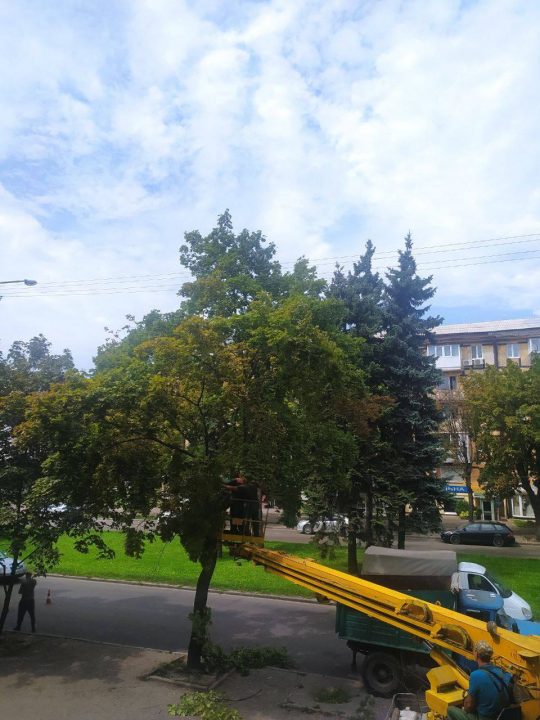 У Дніпрі на проспекті Гагаріна спилили дерева: виявилося на законній підставі - рис. 1