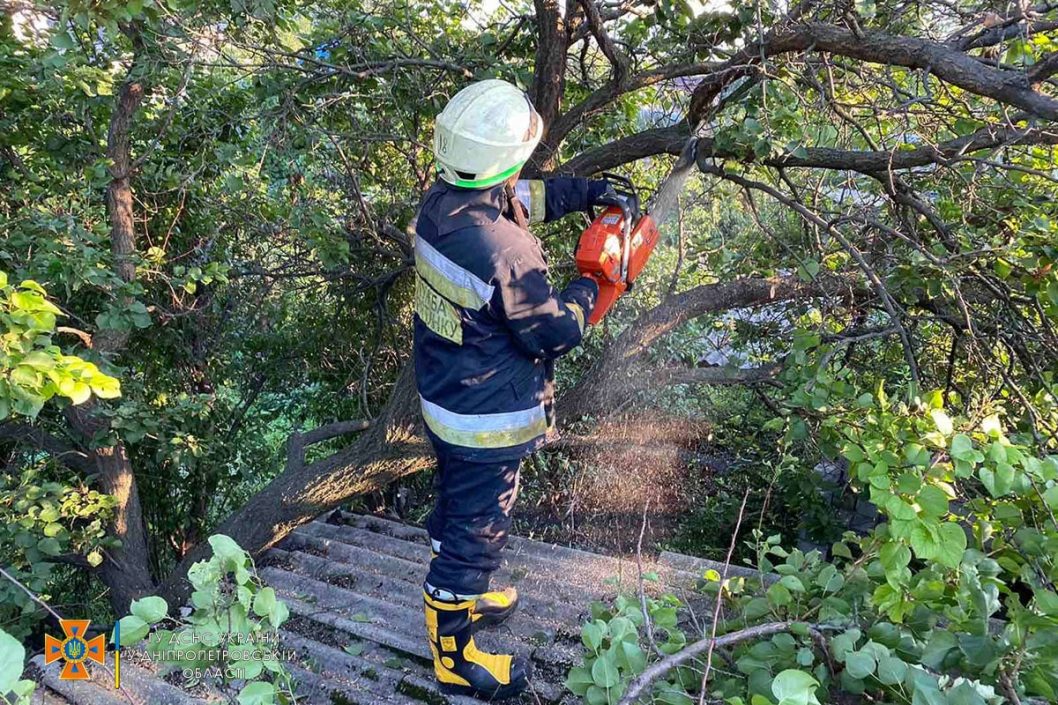 Поваленные ветки и десятки деревьев: в Днепре сотрудники ГСЧС ликвидировали последствия непогоды - рис. 4