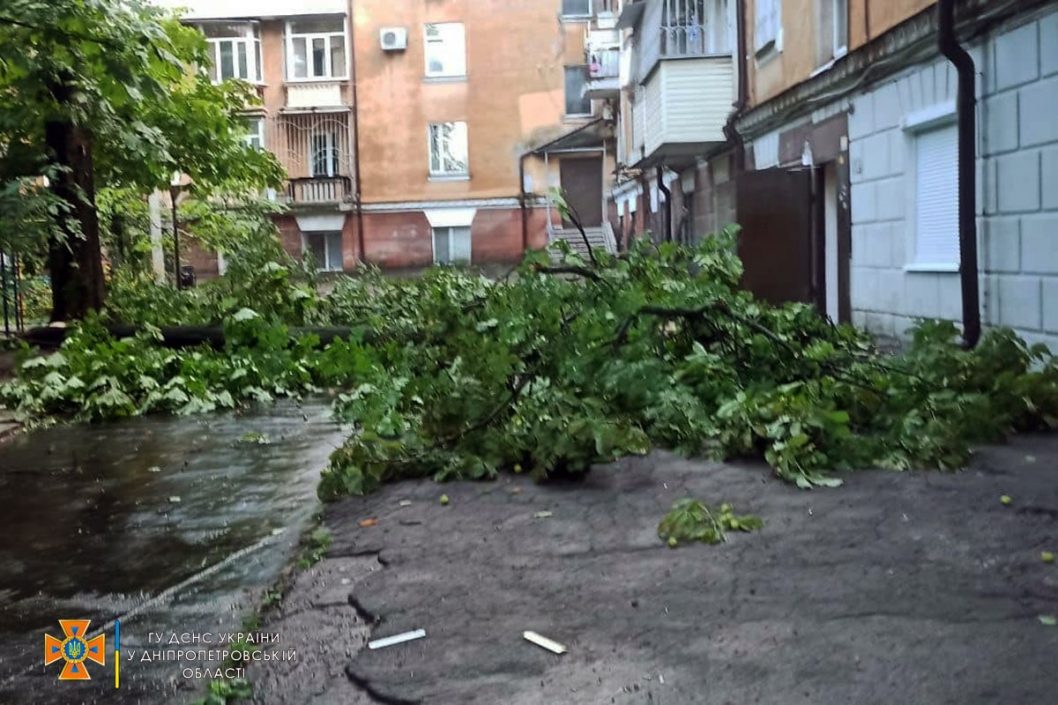Поваленные ветки и десятки деревьев: в Днепре сотрудники ГСЧС ликвидировали последствия непогоды - рис. 1