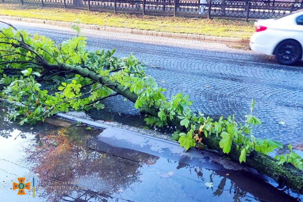 Поваленные ветки и десятки деревьев: в Днепре сотрудники ГСЧС ликвидировали последствия непогоды - рис. 3
