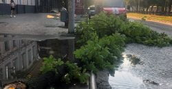 Поваленные ветки и десятки деревьев: в Днепре сотрудники ГСЧС ликвидировали последствия непогоды - рис. 8