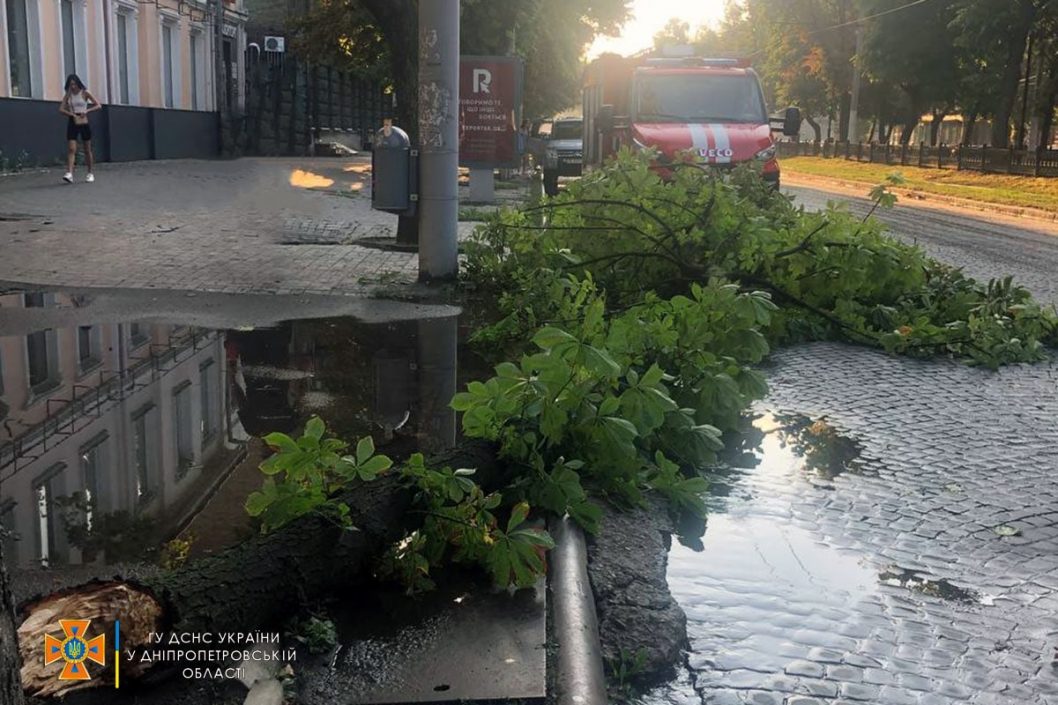 Поваленные ветки и десятки деревьев: в Днепре сотрудники ГСЧС ликвидировали последствия непогоды - рис. 2