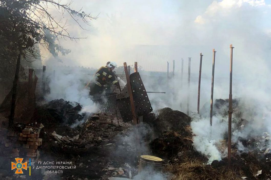 На Днепропетровщине в результате пожара погибли 37 животных - рис. 2