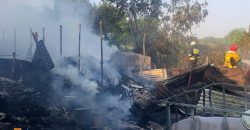 На Днепропетровщине в результате пожара погибли 37 животных - рис. 3