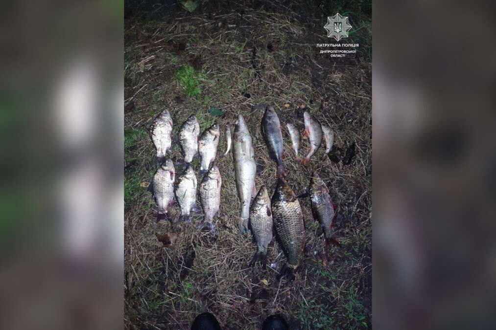 Порыбачил на 41 600 гривен: на Днепропетровщине задержали браконьера - рис. 1