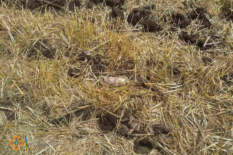 В Криворожском районе спасатели уничтожили 11 боеприпасов - рис. 1