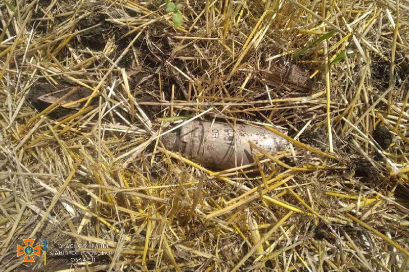 В Криворожском районе спасатели уничтожили 11 боеприпасов - рис. 3