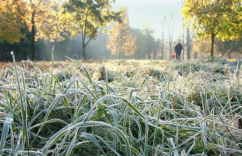 В Днепропетровской области обещают заморозки - рис. 1