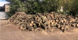У Кривому Розі викрили злочинну групу, яка знищила дерев на півмільйона гривень - рис. 19