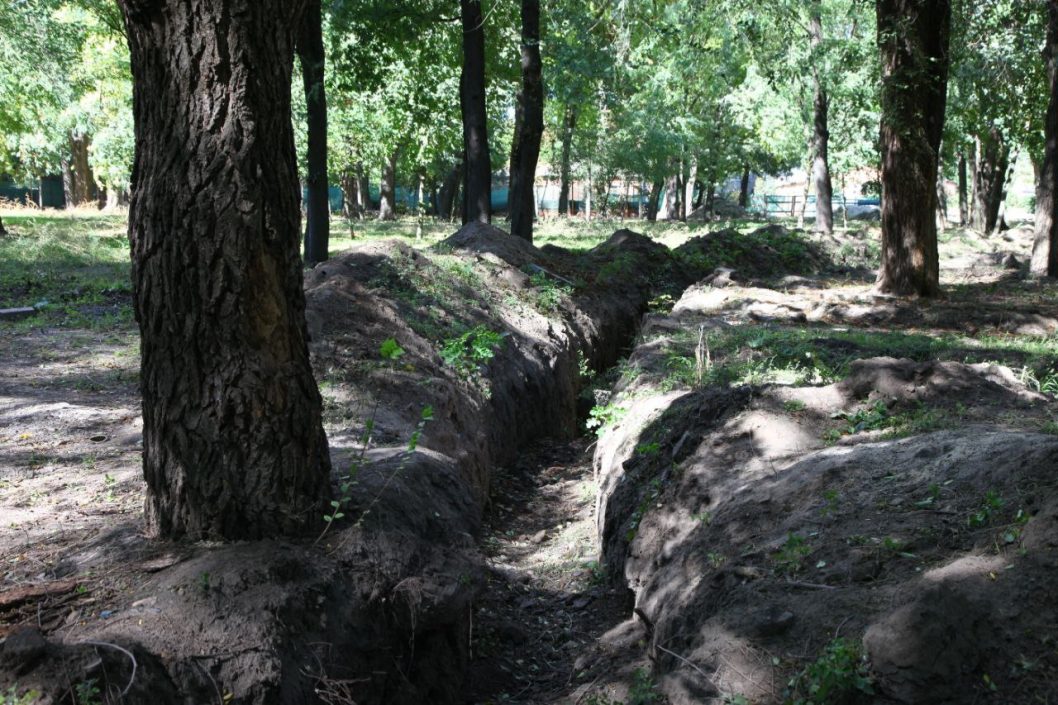 У Дніпрі поставлена на паузу реконструкція Севастопольського парку - рис. 3