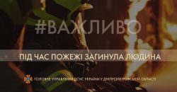 В Днепропетровской области в результате пожара погиб мужчина - рис. 4