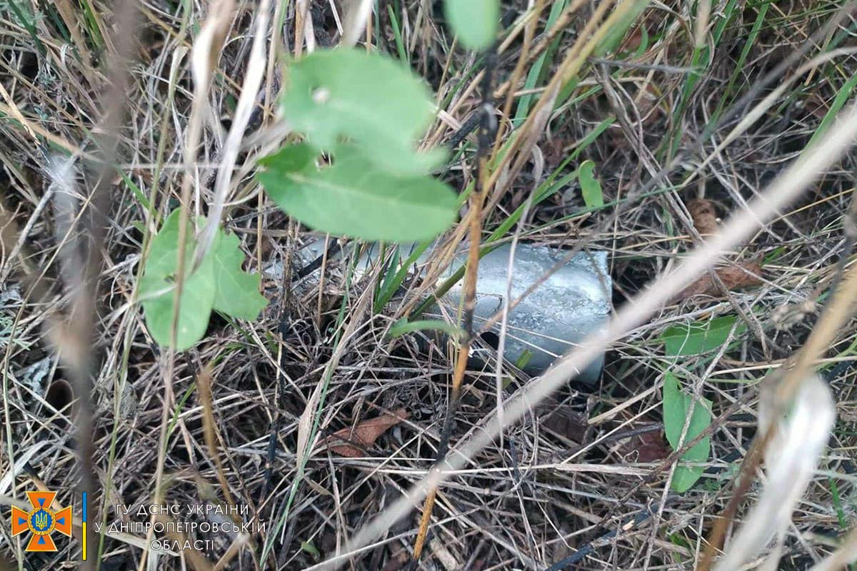 Піротехніки ДСНС знищили 42 касетних боєприпаси окупантів на Дніпропетровщини - рис. 1