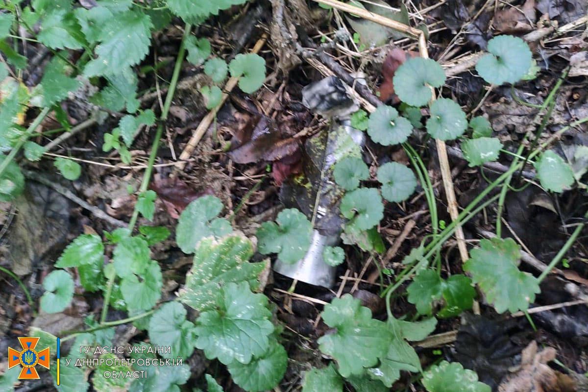 Піротехніки ДСНС знищили 42 касетних боєприпаси окупантів на Дніпропетровщини - рис. 4
