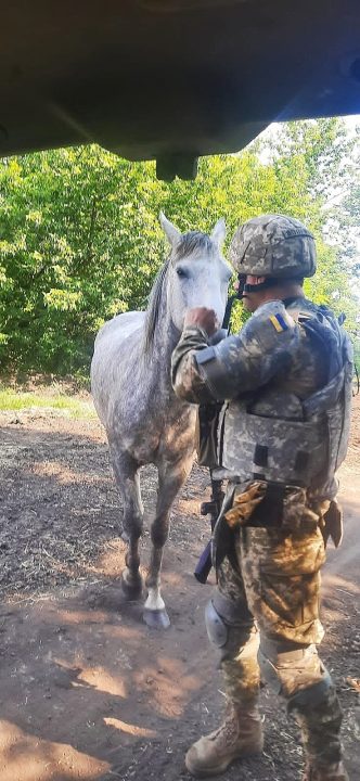 Люди з великої літери: бійці ТрО Дніпропетровщини врятували з-під обстрілів двох коней - рис. 2