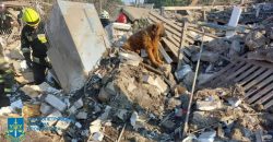 В Днепре спасли пса по имени Крым, семья которого пострадала от ракетных обстрелов оккупантов - рис. 4
