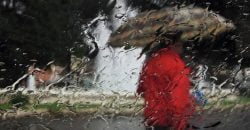 Дощ, туман та сильний вітер: у Дніпрі та області оголосили про погіршення погодних умов - рис. 7
