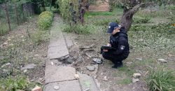 Поліція документує наслідки нічних обстрілів Нікопольського району російськими окупантами - рис. 6