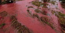 Опасности нет: городские власти Кривого Рога пояснили, почему вода в Ингульце красного цвета - рис. 2