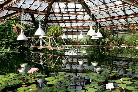 Ботанический сад в Днепре ждет гостей в эти выходные - рис. 1