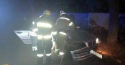 На Дніпропетровщині 20-річний водій BMW врізався в дерево: є постраждалі (Відео) - рис. 21