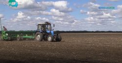 Пшениця, жито, ріпак: на Дніпропетровщині триває посівна озимих - рис. 5