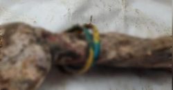 Облетела весь интернет: рука с сине-желтым браслетом из могилы в Изюме принадлежит бойцу из Никополя - рис. 7