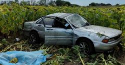 На Днепропетровщине автомобиль вылетел в поле, опрокинувшись на крышу: погибла женщина - рис. 11