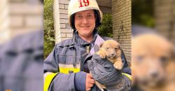 Спасли жизнь: в Днепре чрезвычайники достали щенков из бетонной ловушки (Фото) - рис. 8