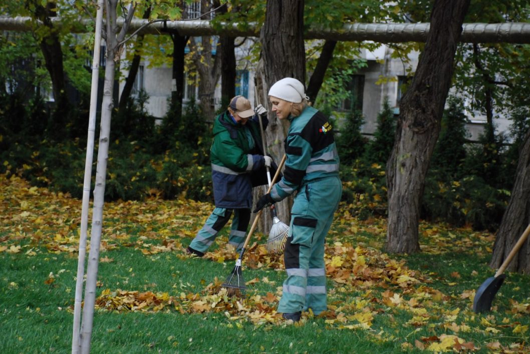 Обгортання дерев, внесення добрив та випробовування техніки: як дніпровські парки готують до зими - рис. 2