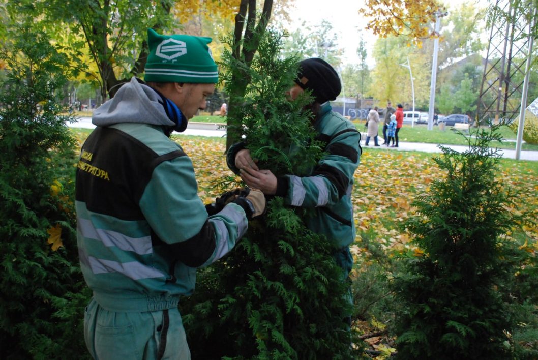 Обгортання дерев, внесення добрив та випробовування техніки: як дніпровські парки готують до зими - рис. 3