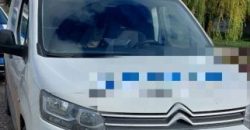 В Днепропетровской области водитель сбил ребенка на «зебре» и скрылся с места ДТП - рис. 17