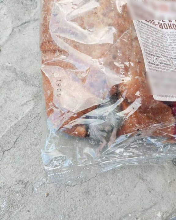 Вишня-миша-шоколад: у Павлограді чоловік купив булочку з живим гризуном - рис. 2