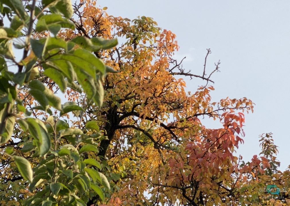 Хмарно з проясненнями: якою буде погода у Дніпрі 3 жовтня - рис. 1