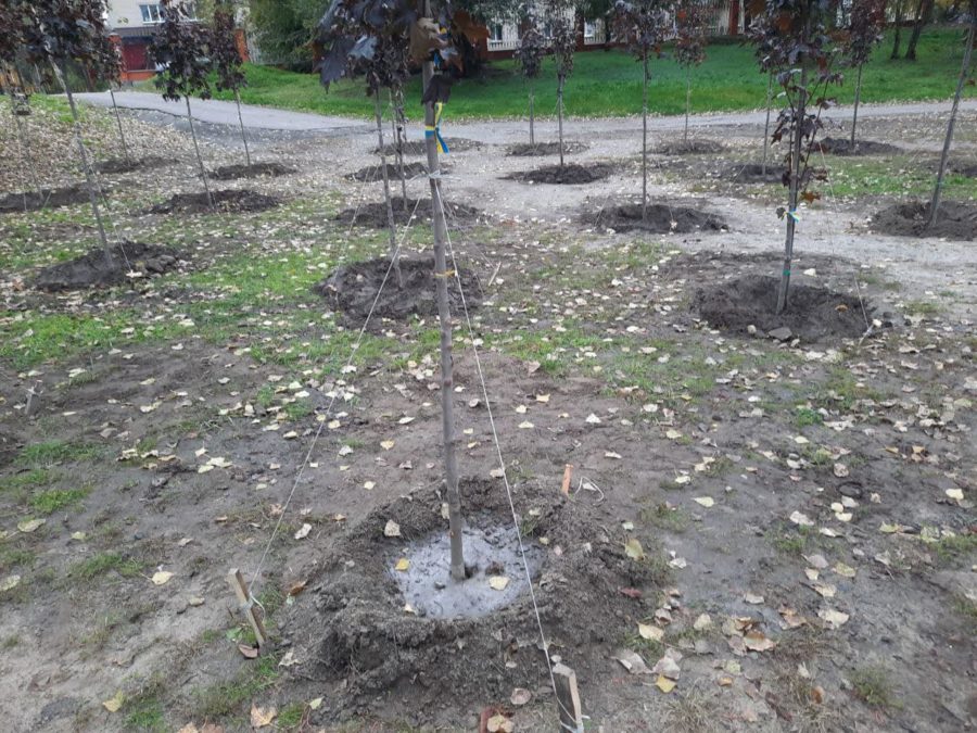 У Новомосковську висадили алею на честь героїв, які загинули за свободу України - рис. 5
