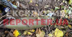 В Днепре местные жители нашли боевой артиллерийский снаряд - рис. 4