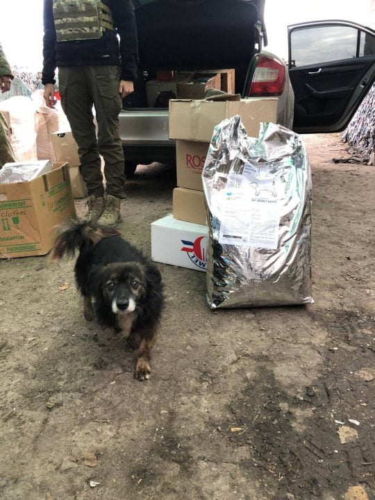 Термобілизна, продукти, медикаменти, корми для тварин: допомога волонтерів Дніпра за минулий тиждень (Фото) - рис. 16