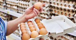 В Минагрополитики Украины объяснили скачок цен в стране на куриные яйца - рис. 16